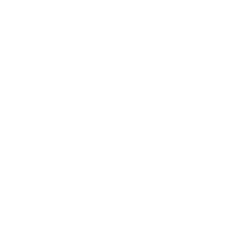 Icon Erfahrung weiss